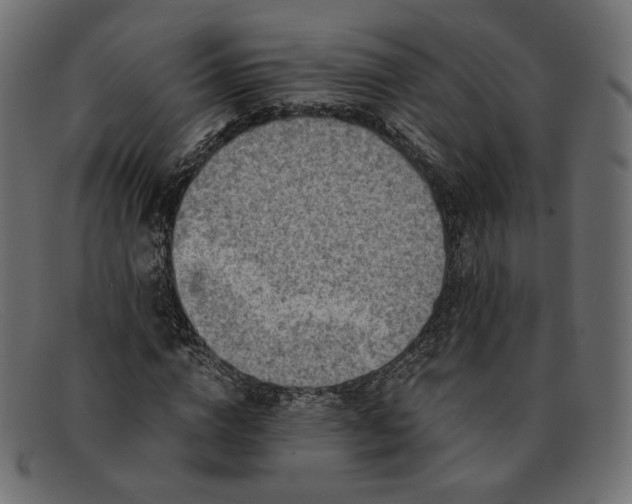 X0000091920824200709191337