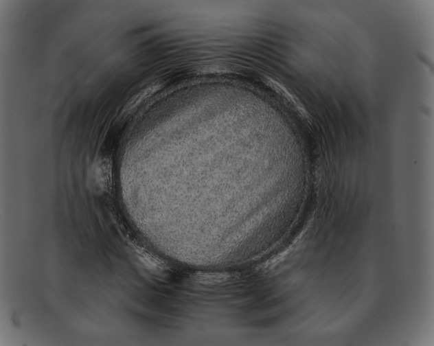 X0000091920825200709191337