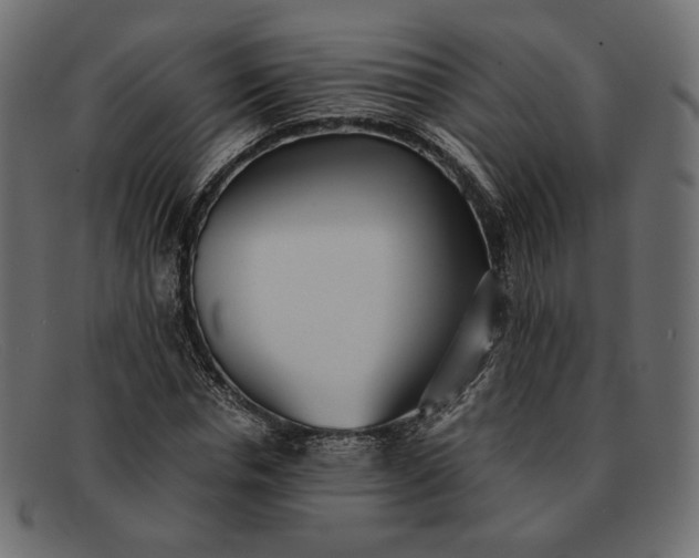 X0000091920826200709191337