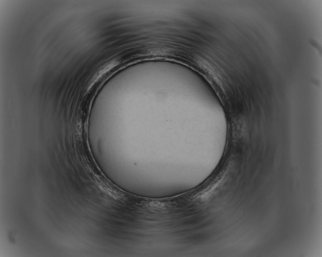 X0000091920827200709191337