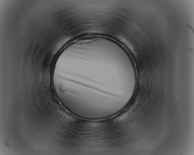 X0000091920829200709191337