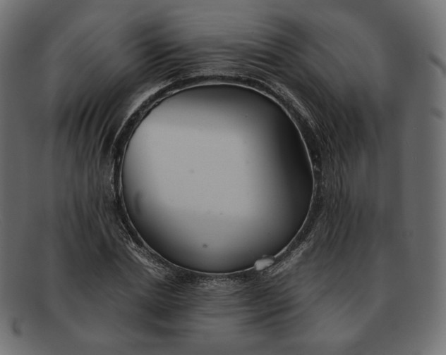 X0000091920830200709191337