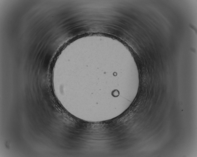 X0000091920832200709191337