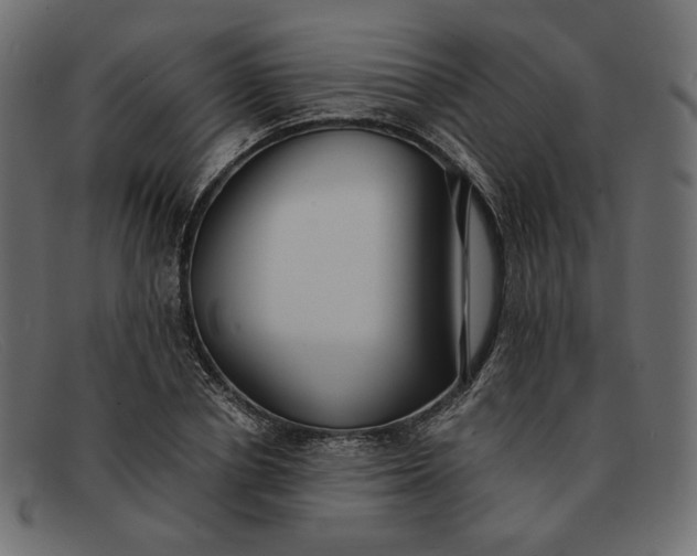 X0000091920834200709191337