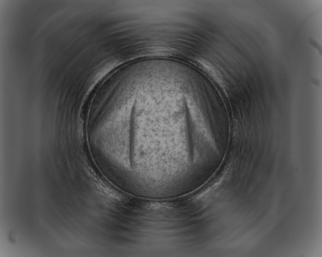 X0000091920835200709191337
