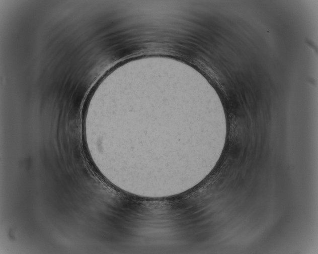 X0000091920836200709191337