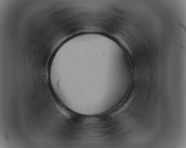 X0000091920837200709191337
