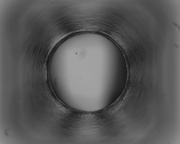 X0000091920838200709191337