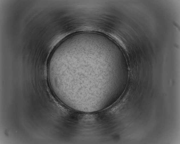 X0000091920839200709191337