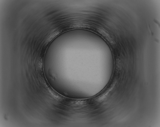 X0000091920841200709191338