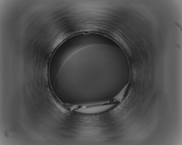 X0000091920842200709191338