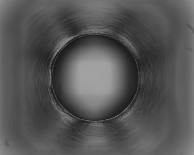 X0000091920844200709191338