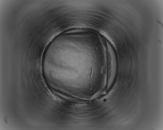 X0000091920845200709191338