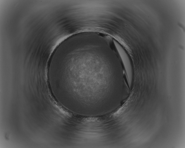 X0000091920846200709191338