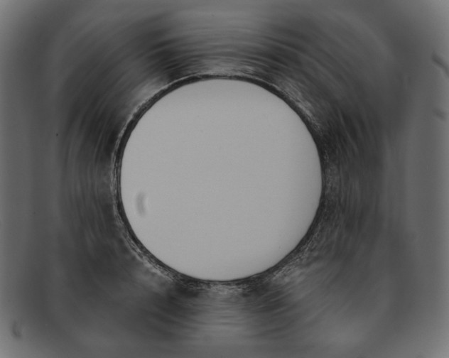 X0000091920848200709191338