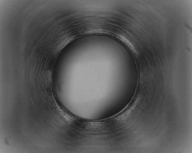 X0000091920849200709191338
