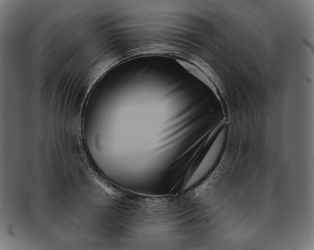 X0000091920850200709191338
