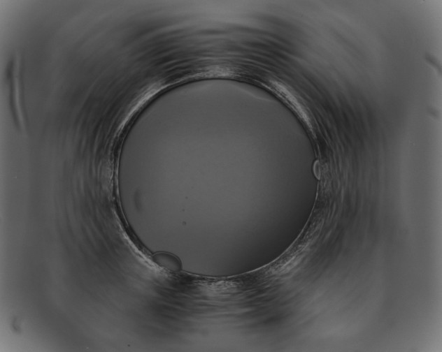 X0000091920851200709191338