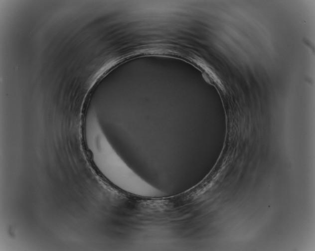X0000091920853200709191338