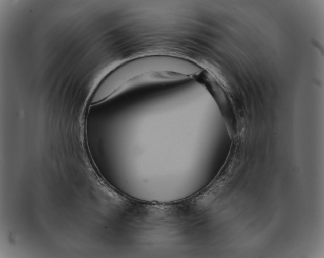 X0000091920854200709191338