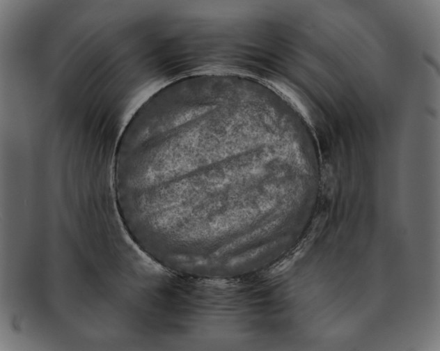X0000091920855200709191338