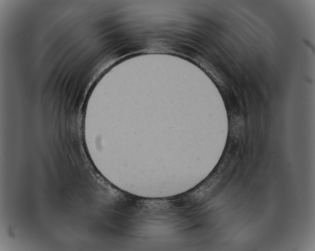 X0000091920856200709191338