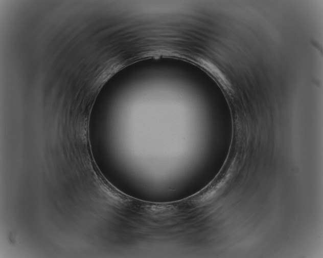 X0000091920857200709191338