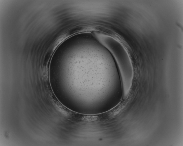 X0000091920858200709191338