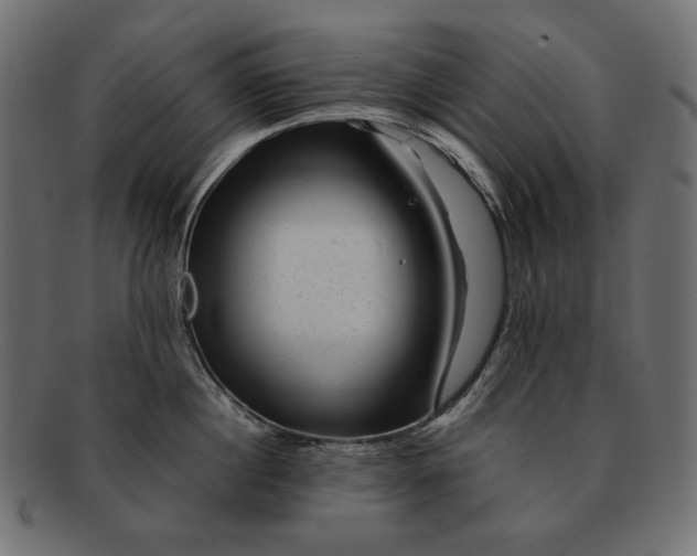 X0000091920860200709191338