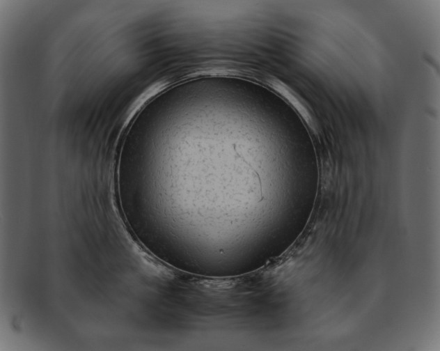 X0000091920861200709191338