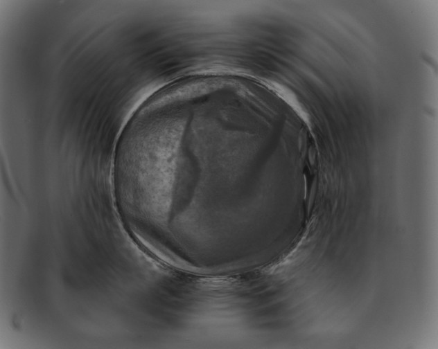 X0000091920863200709191338