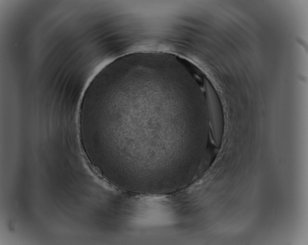 X0000091920864200709191338