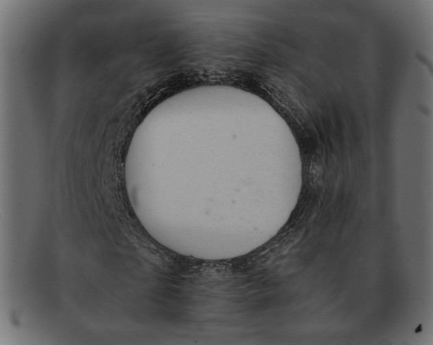 X0000091920865200709191337