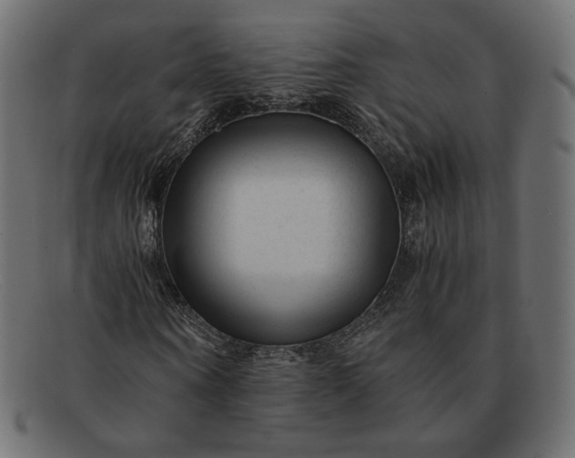 X0000091920866200709191337