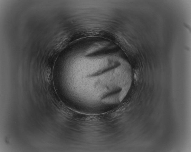 X0000091920867200709191337