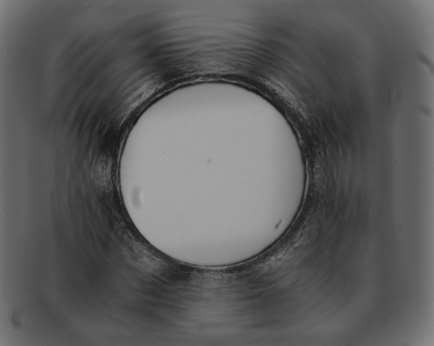 X0000091920873200709191337