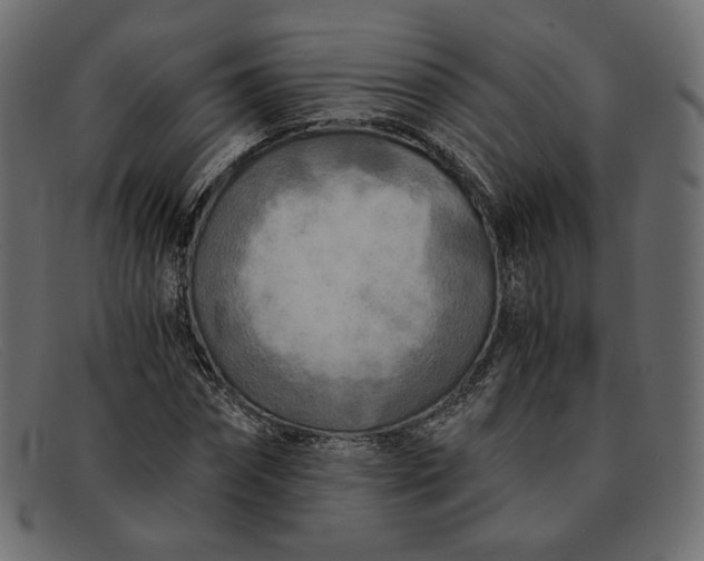 X0000091920874200709191337