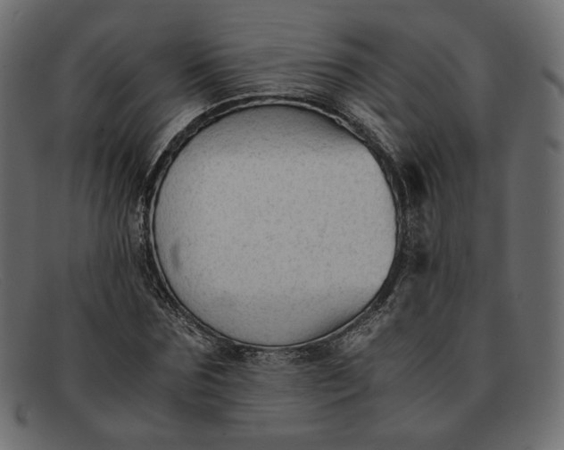 X0000091920875200709191337