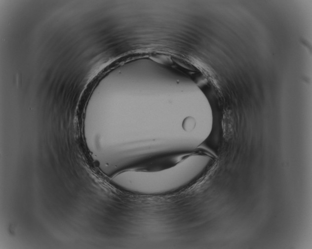 X0000091920876200709191337