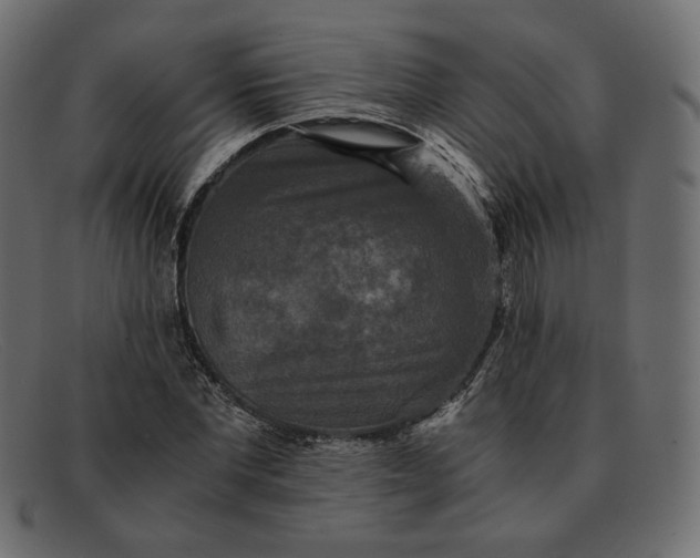 X0000091920877200709191337