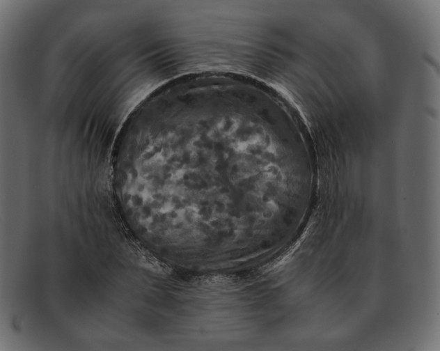 X0000091920879200709191337