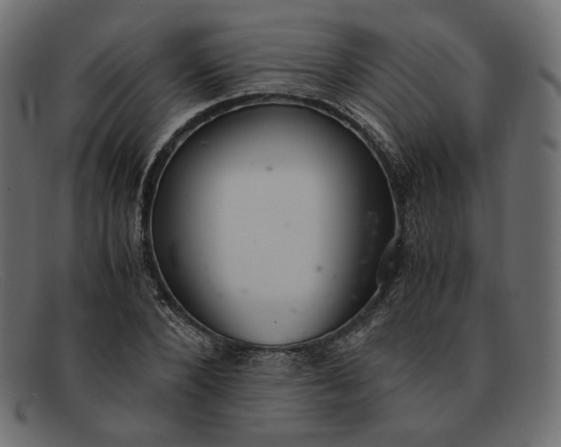 X0000091920880200709191337