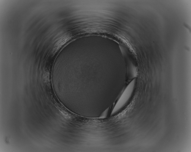 X0000091920881200709191337