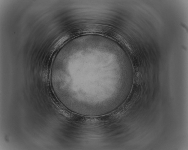 X0000091920882200709191337