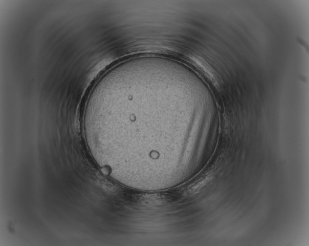 X0000091920883200709191337