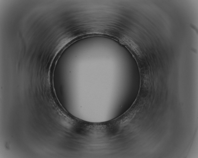 X0000091920884200709191337