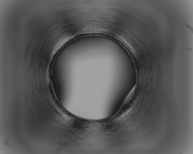 X0000091920885200709191337