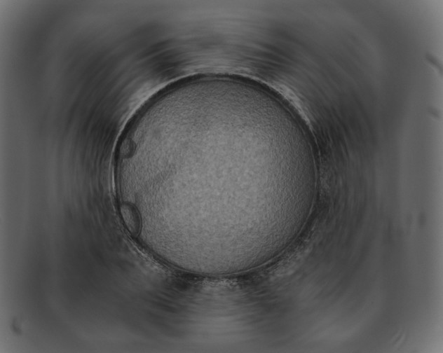 X0000091920887200709191337