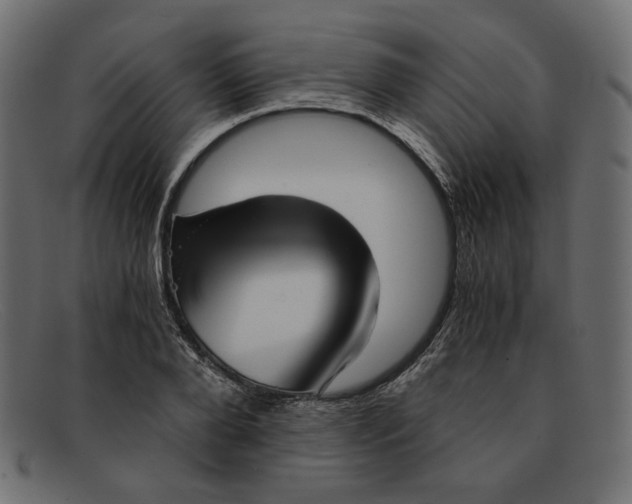 X0000091920888200709191337