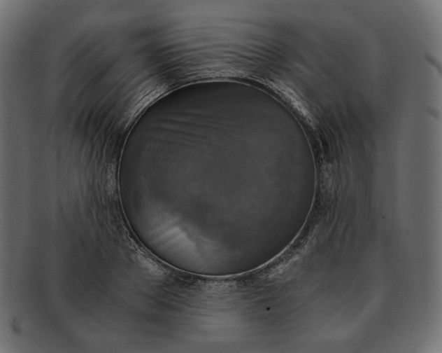 X0000091920889200709191337